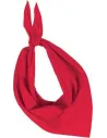 PAÑUELO FIESTA BANDANA KUP KP064