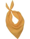PAÑUELO FIESTA BANDANA KUP KP064