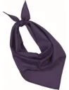 PAÑUELO FIESTA BANDANA KUP KP064