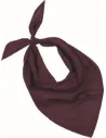 PAÑUELO FIESTA BANDANA KUP KP064