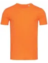 CAMISETA MORGAN STEDMAN ST9020