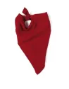 PAÑUELO PAÑUELO CUADRADO BAIZINKA BK063