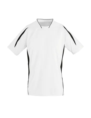 https://www.adversia.es/Imagenes/Articulos/n01638906Ascl2-1.jpg