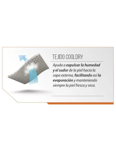 https://www.dateriumsystem.com/appfiles/clientes/12/catalogo/977B_det4_es_0.jpg