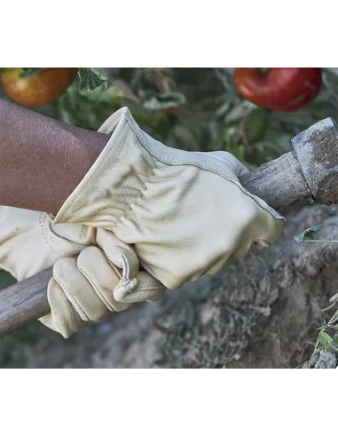 https://www.dateriumsystem.com/appfiles/clientes/12/catalogo/H411IN_garden_uso.jpg