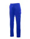 PANTALON WORKER PRO PAYPER 0014030405