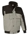 CHAQUETA SCOOT VALENTO CZVASCO